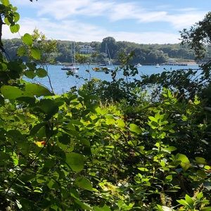 Meet your Posher, Joanne